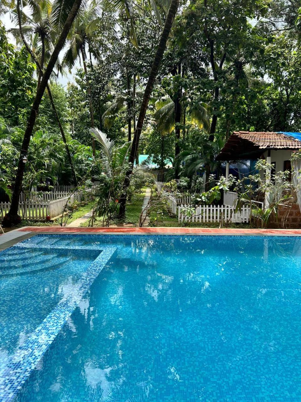 King Villa Goa Palolem Eksteriør bilde